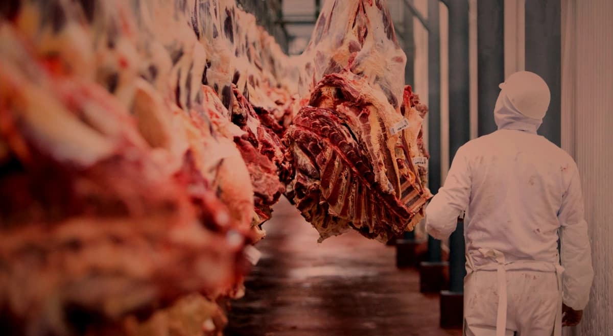 FEGASACRUZ SE DECLARA EN EMERGENCIA Y DICE QUE BUSCAN FRENAR LA EXPORTACIÓN DE CARNE
