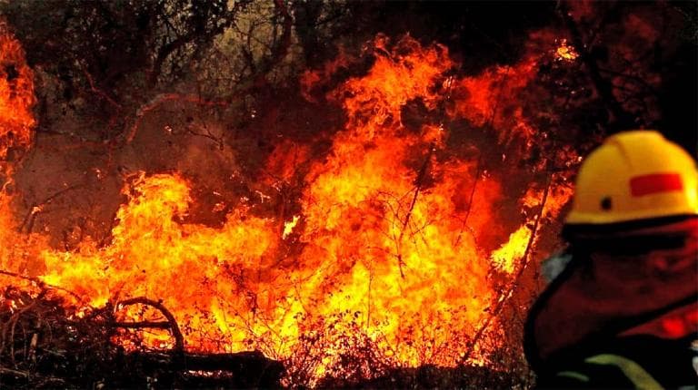 EL FUEGO NO DA TREGUA EN SANTA CRUZ Y SE REPORTAN HASTA EL MOMENTO 49 INCENDIOS ACTIVOS