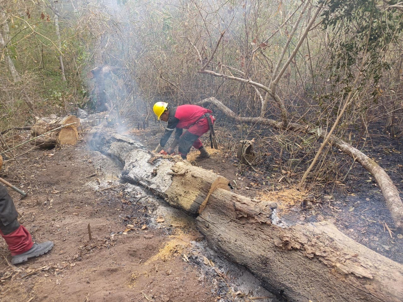 DISMINUYEN LOS INCENDIOS EN SANTA CRUZ