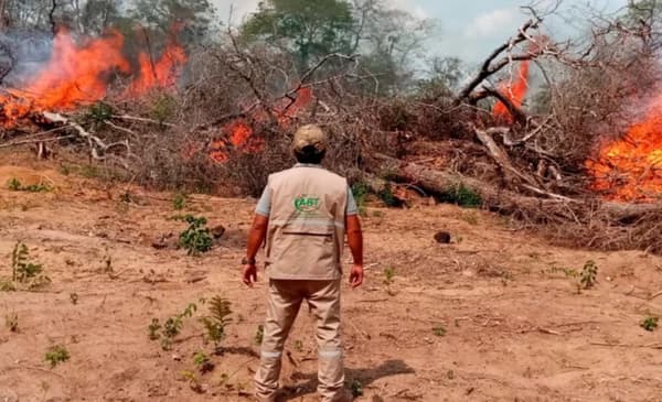 INCENDIOS ACTIVOS EN BOLIVIA SE REDUCEN DE 70 A 56 EN CUATRO DEPARTAMENTOS