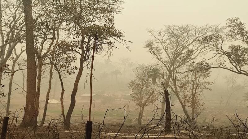 LA ABT HARÁ CUMPLIR LA PAUSA AMBIENTAL DICTADA POR GOBIERNO
