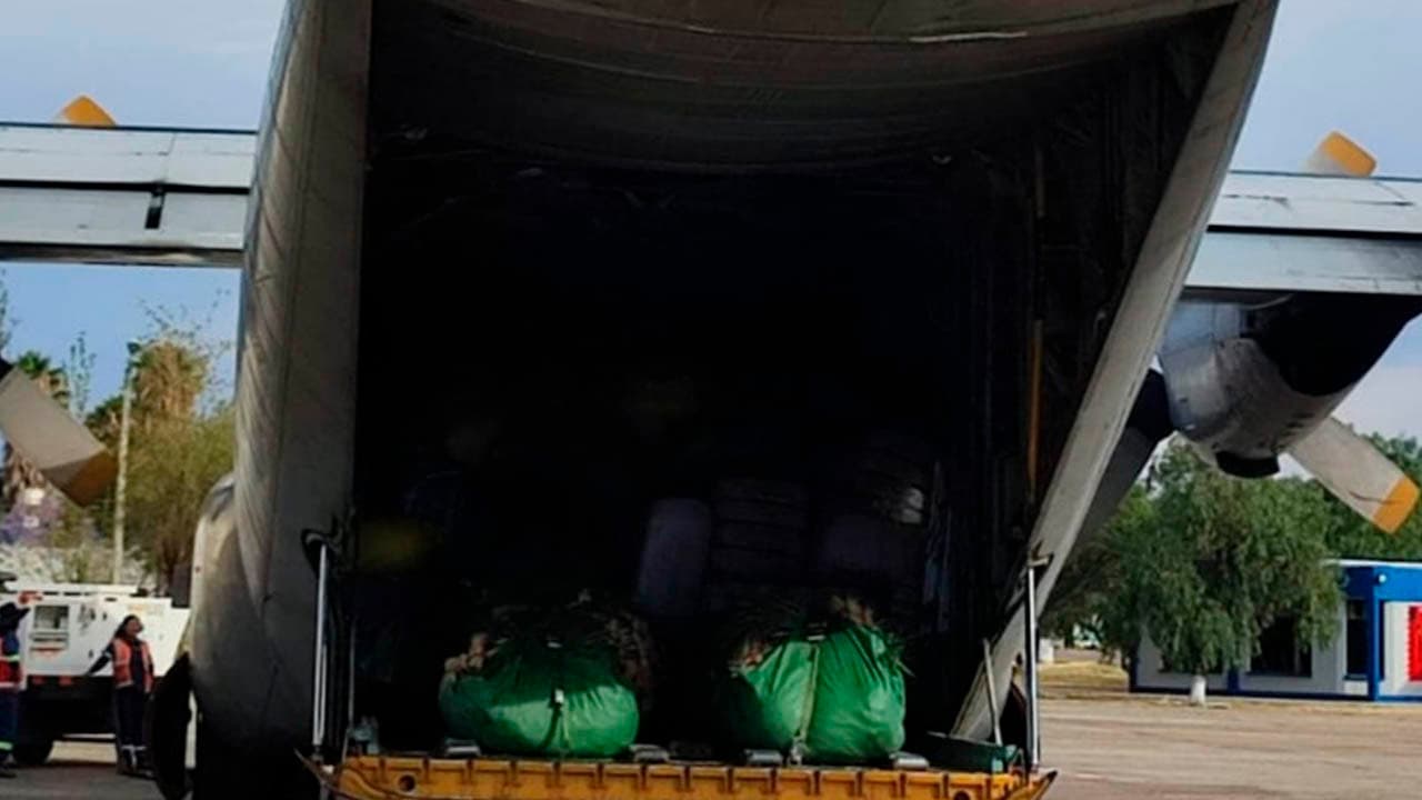 ACTIVAN PUENTE AÉREO PARA TRASLADO DE CARNES, FLORES Y OTROS PRODUCTOS