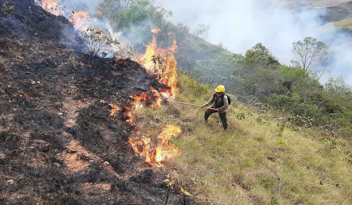 JUSTICIA CONCEDE TUTELA PLANTEADA POR EL DEFENSOR DEL PUEBLO Y RESGUARDA DERECHOS DE LA MADRE TIERRA