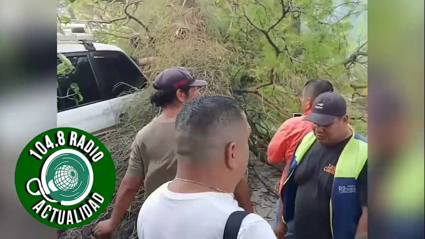 RAMA DE CUPESÍ CAE EN EL PALACIO DE JUSTICIA POR FUERTES VIENTOS