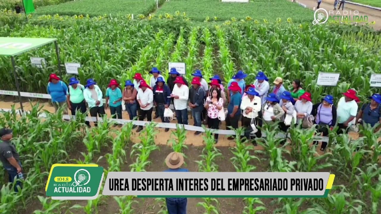 UREA DESPIERTA INTERÉS DEL EMPRESARIADO PRIVADO