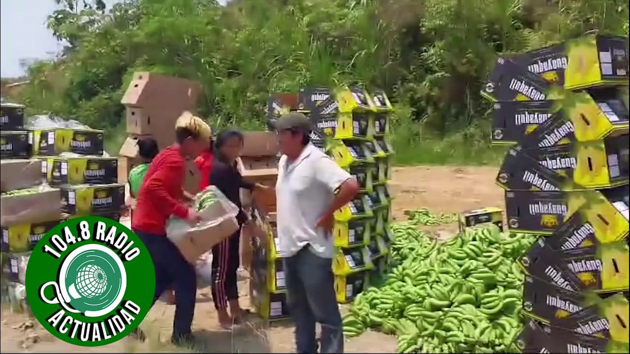 PRODUCTOR BANANERO LLORA DE IMPOTENCIA Y BOTA SU COSECHA A LA CARRETERA