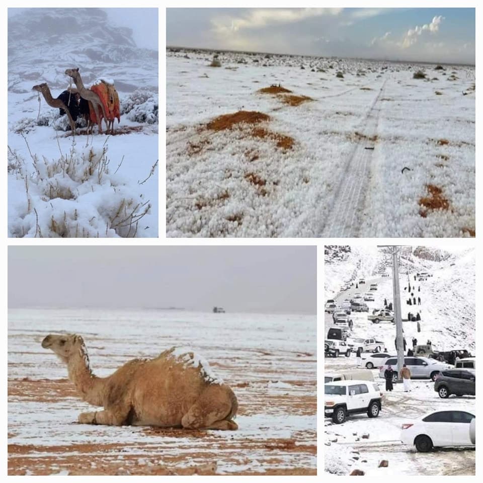 DESIERTO DE ARABIA SAUDITA SE CUBRE DE NIEVE POR PRIMERA VEZ EN SU HISTORIA
