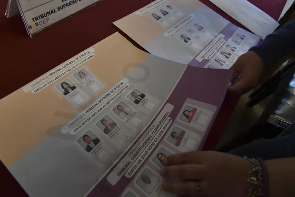 TCP RATIFICA FALLO QUE SUSPENDE PARCIALMENTE LAS JUDICIALES
