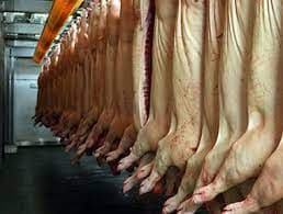 BOLIVIA EXPORTARÁ CARNE DE CERDO A PERÚ Y BRASIL