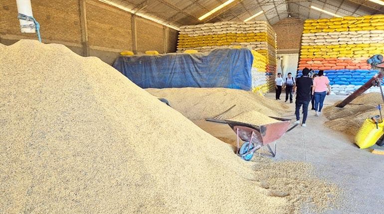 FISCALÍA INTERVIENE CINCO INGENIOS EN SANTA CRUZ Y SECUESTRA ARROZ ANTE DENUNCIA POR AGIO