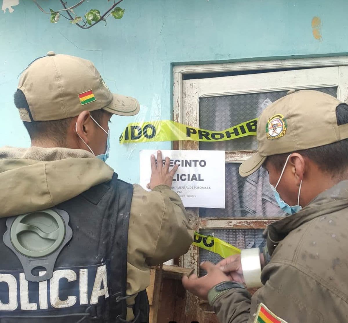 HALLAN GATOS CONGELADOS DENTRO DE UN REFRIGERADOR Y OTROS MUERTOS EN EL BAÑO DE UNA VIVIENDA