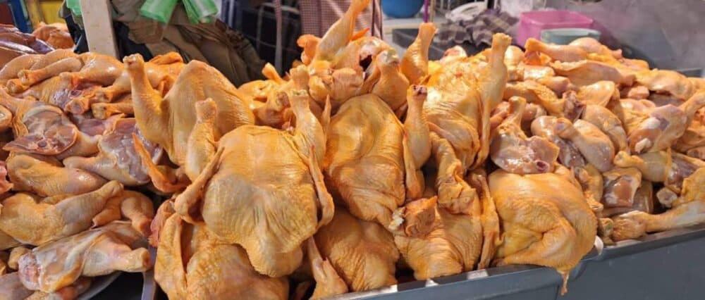 EL KILO DEL POLLO SUBE A BS 23, UN PRECIO HISTÓRICO EN FECHAS NAVIDEÑAS