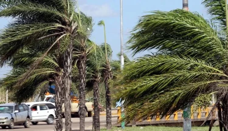 SENAMHI EMITE ALERTA NARANJA POR VIENTOS MODERADOS A FUERTES EN SANTA CRUZ
