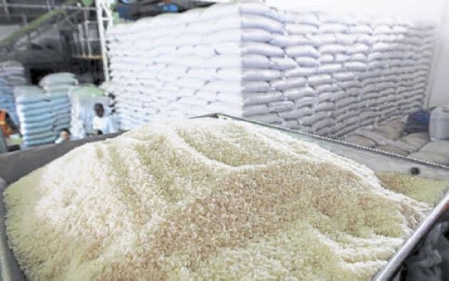 ARROCEROS VENDERÁN SU PRODUCTO DIRECTO DE LOS INGENIOS, SEGÚN EL GOBIERNO