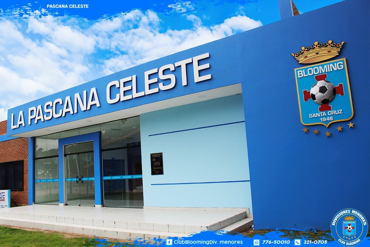 AUDITORIA DE BLOOMING REVELÓ DAÑO ECONÓMICO DE MÁS DE 6 MILLONES DE DÓLARES
