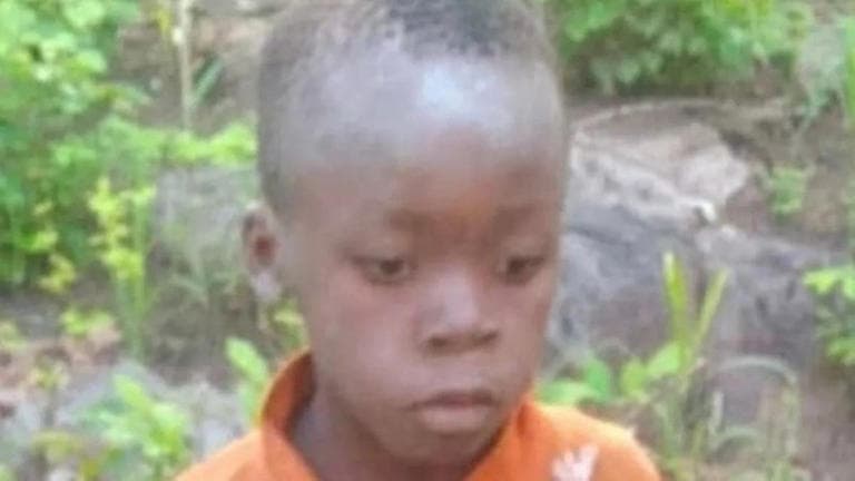 UN NIÑO DE 8 AÑOS SOBREVIVIÓ 5 DÍAS PERDIDO EN UNA PARQUE LLENO DE LEONES