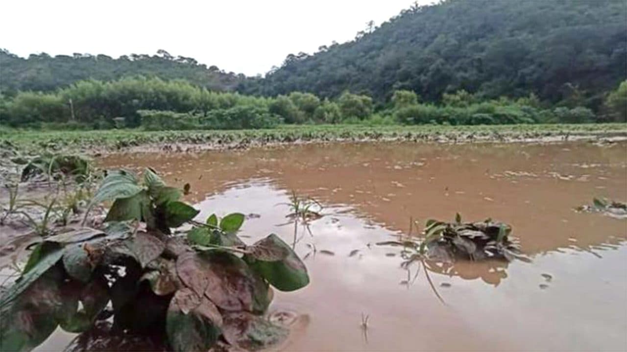 DESBORDE DE RÍO DAÑA CULTIVOS Y VÍAS CAMINERAS EN QUIRUSILLA