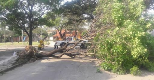 ALERTA NARANJA POR FUERTES VIENTOS EN SANTA CRUZ