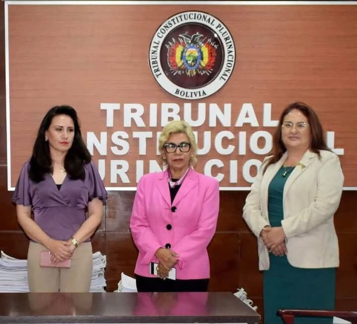 TRIBUNAL CONSTITUCIONAL REALIZA EL PRIMER SORTEO DE CAUSAS DE LA GESTIÓN 2025