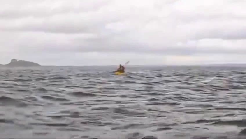 BALLENA TRAGÓ Y EXPULSÓ A UN JOVEN EN EL ESTRECHO DE MAGALLANES