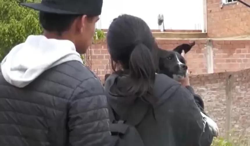 RESCATAN A ANIMALES DE LA ZONA AFECTADA POR HUNDIMIENTOS EN COCHABAMBA