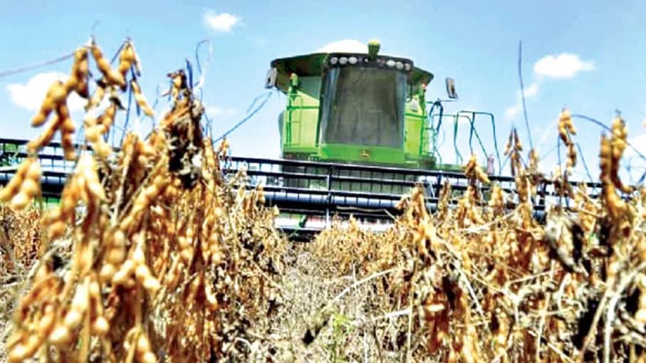 PRESIDENTE PIDE PRIORIZAR DIÉSEL PARA LA AGRICULTURA