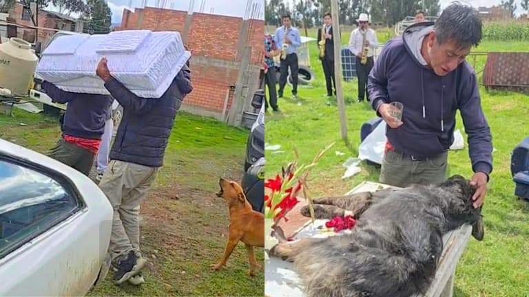 VELÓ TRES DÍAS A SU MASCOTA Y CON BANDA