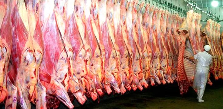 GOBIERNO MANTIENE VETO A LA EXPORTACIÓN DE CARNE POR PRECIOS ELEVADOS