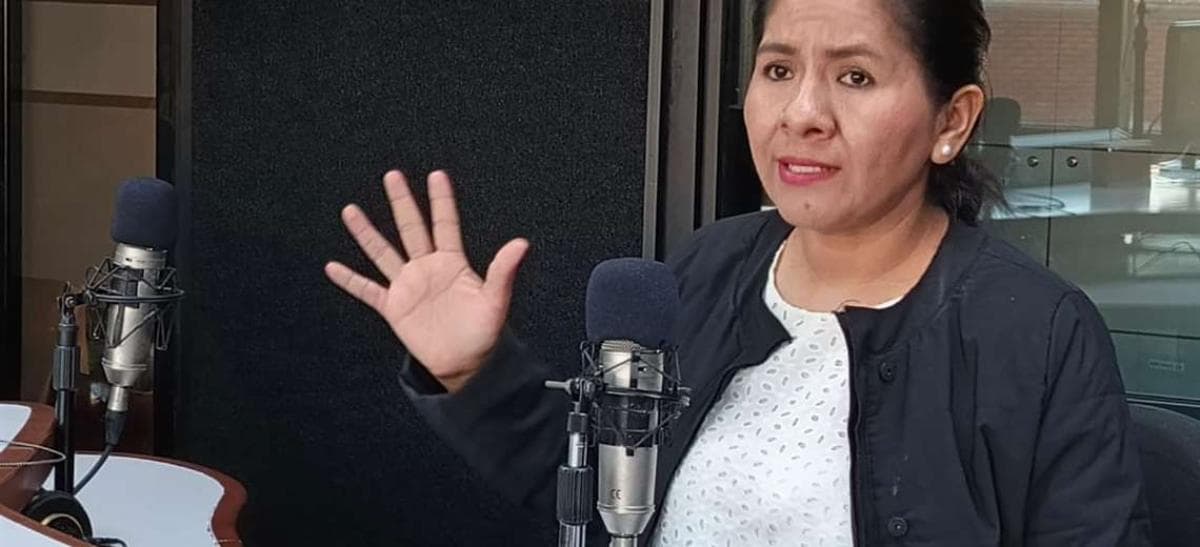 LOLA TERRAZAS: OBRAS PARALIZADAS Y AVASALLAMIENTOS DESAFÍAN A LA COMISIÓN DE PLANIFICACIÓN