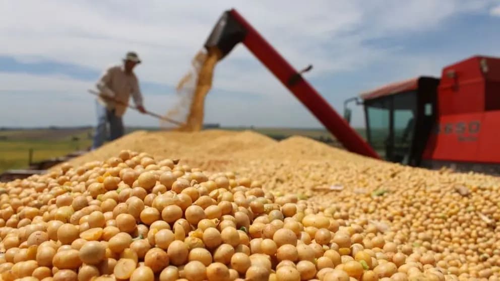 GOBIERNO ABRE LA EXPORTACIÓN DE HASTA 250 MIL TONELADAS DE SOYA