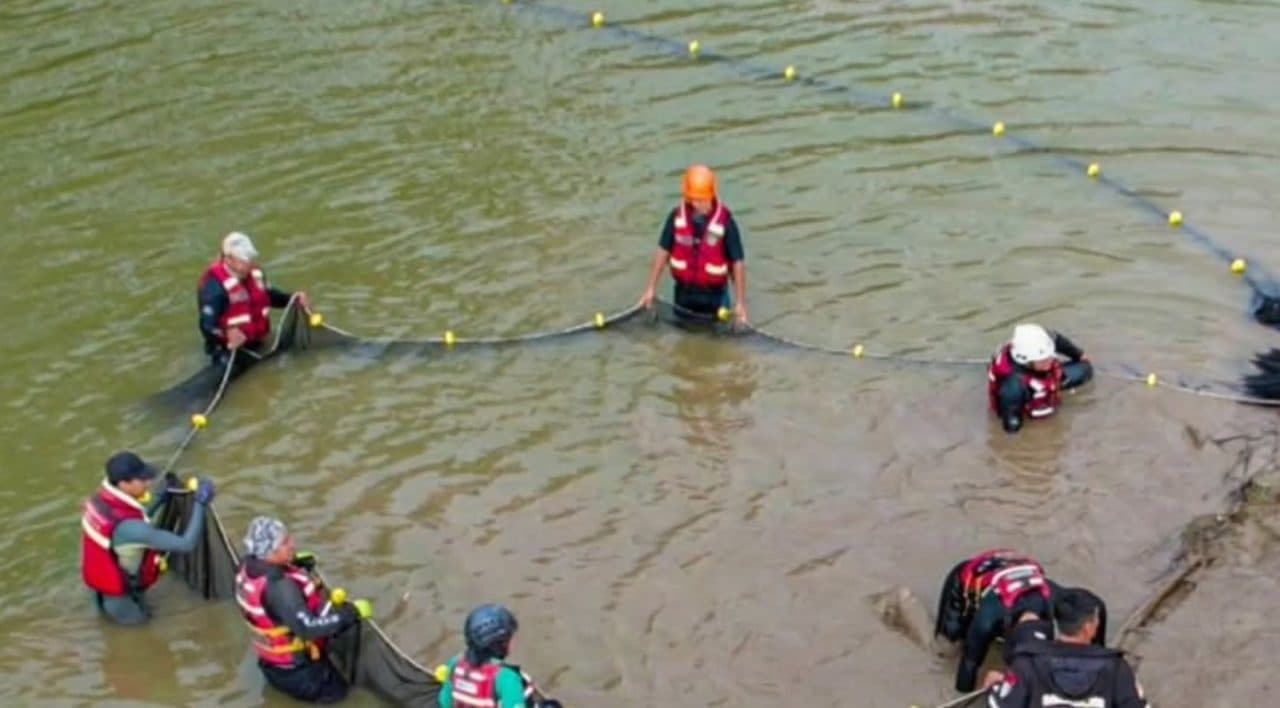 RESCATAN A 44 ANIMALES SILVESTRES QUE QUEDARON ATRAPADOS TRAS INUNDACIONES