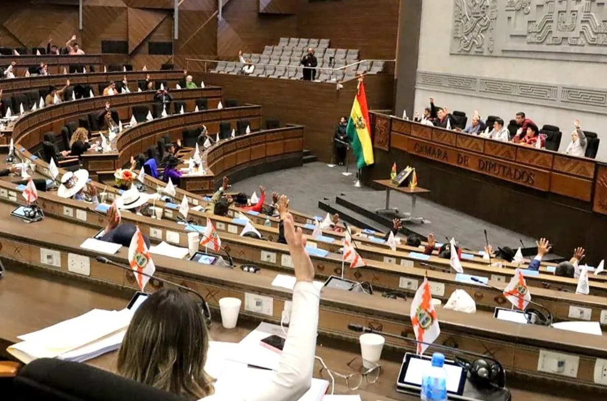 DIPUTADOS SESIONAN ESTE MIÉRCOLES POR CRÉDITOS DE MÁS DE $US. 160 MILLONES