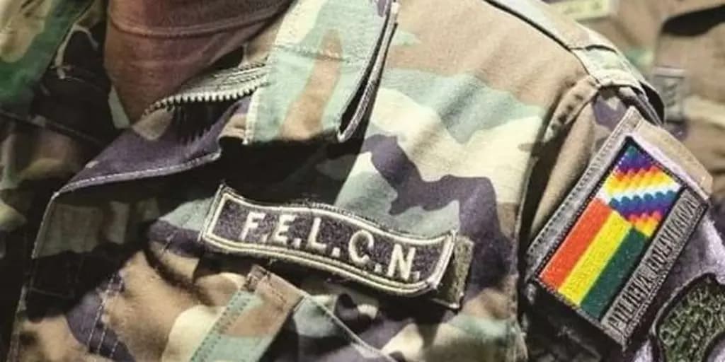 FELCN Y SU PAR DE BRASIL SE REUNIRÁN PARA INTERCAMBIAR DATOS SOBRE POSIBLE PRESENCIA EL PCC