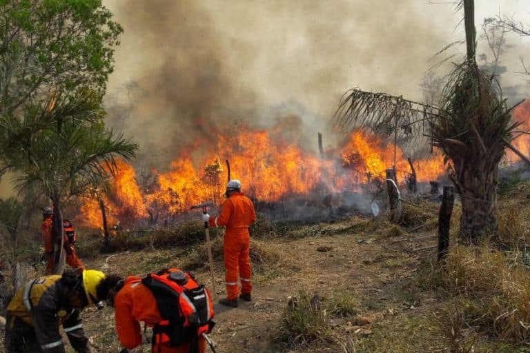 SANTA CRUZ EN ALERTA ROJA: GOBERNACIÓN INTENSIFICA ACCIONES ANTE INCENDIOS FORESTALES