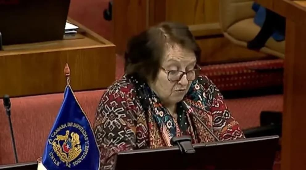 “ENCEFALOPATÍA HIPÓXICA” Y “TONTORRONEZ”: POLÉMICOS INSULTOS DE DIPUTADA CHILENA CONTRA BOLIVIANOS
