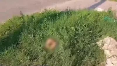 HALLAN UN CRÁNEO EN BARRIO SAUSALITO
