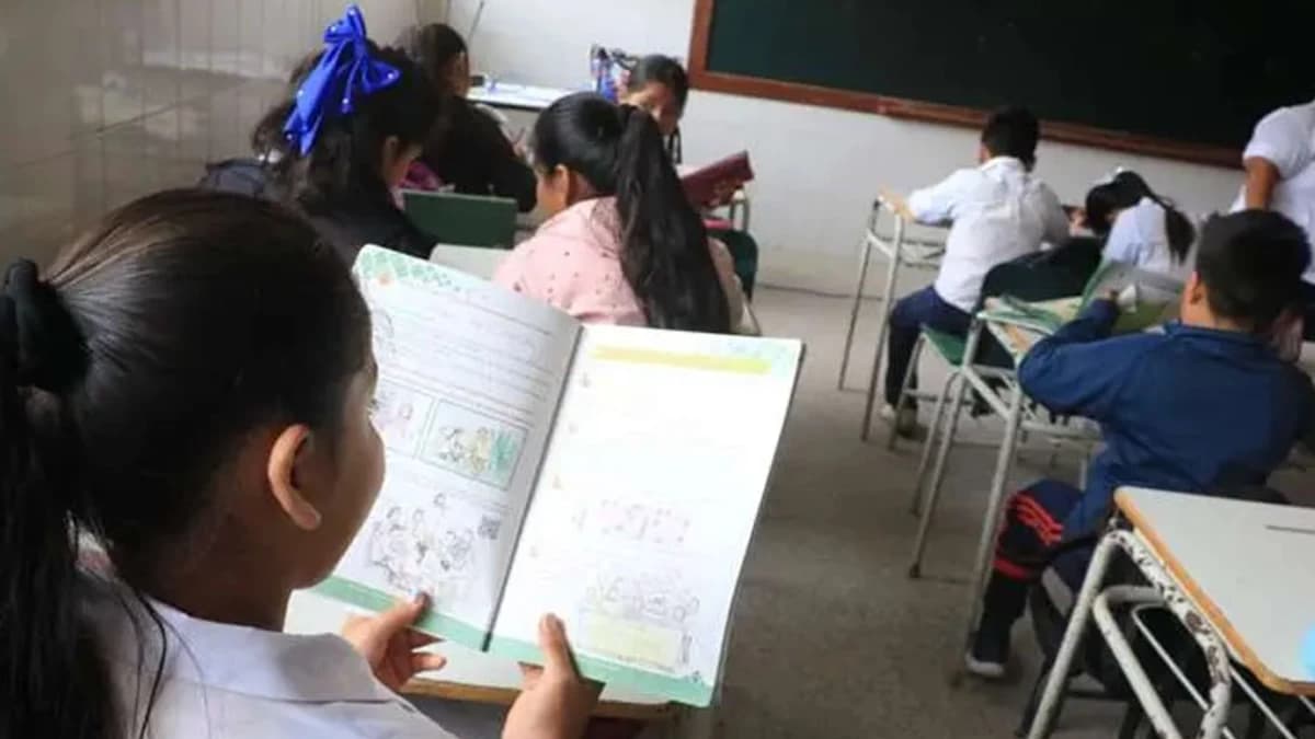 SANTA CRUZ EXTENDERÁ CLASES HASTA EL 9 DE DICIEMBRE; EL RESTO DEL PAÍS FINALIZARÁ EL 5