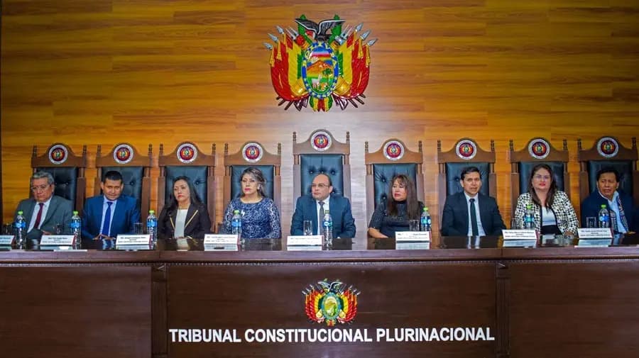 TRIBUNAL CONSTITUCIONAL DENUNCIA PERSECUCIÓN JUDICIAL Y CUESTIONA ACCIONAR DEL TSJ