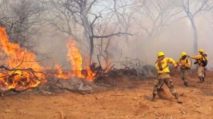 EL COED INFORMA QUE SE REDUCEN LOS INCENDIOS EN EL DEPARTAMENTO DE SANTA CRUZ