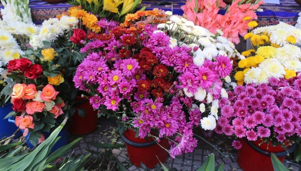 CRISIS DE COMBUSTIBLE ELEVA LOS PRECIOS DE LAS FLORES PARA TODOS SANTOS