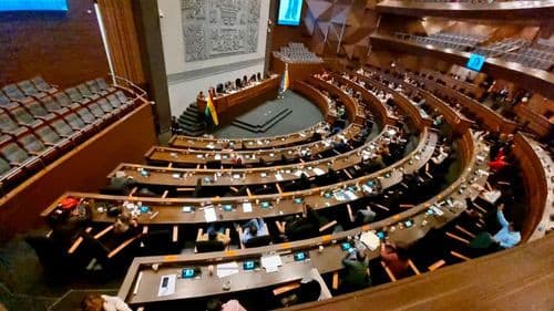 SENADO APRUEBA LEY PARA PROTEGER A HIJOS HUÉRFANOS DE VÍCTIMAS DE FEMINICIDIO