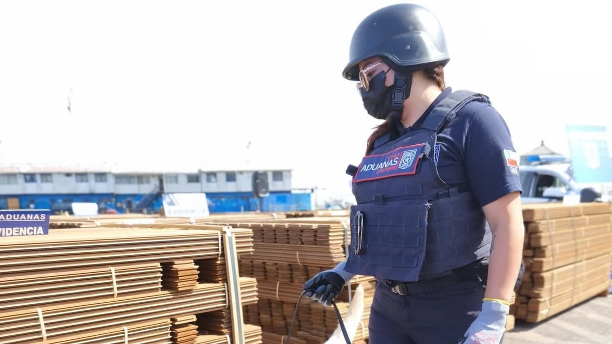 COCAÍNA EN MADERA: FISCALÍA REALIZA ALLANAMIENTOS Y DETIENE A RESPONSABLE LEGAL