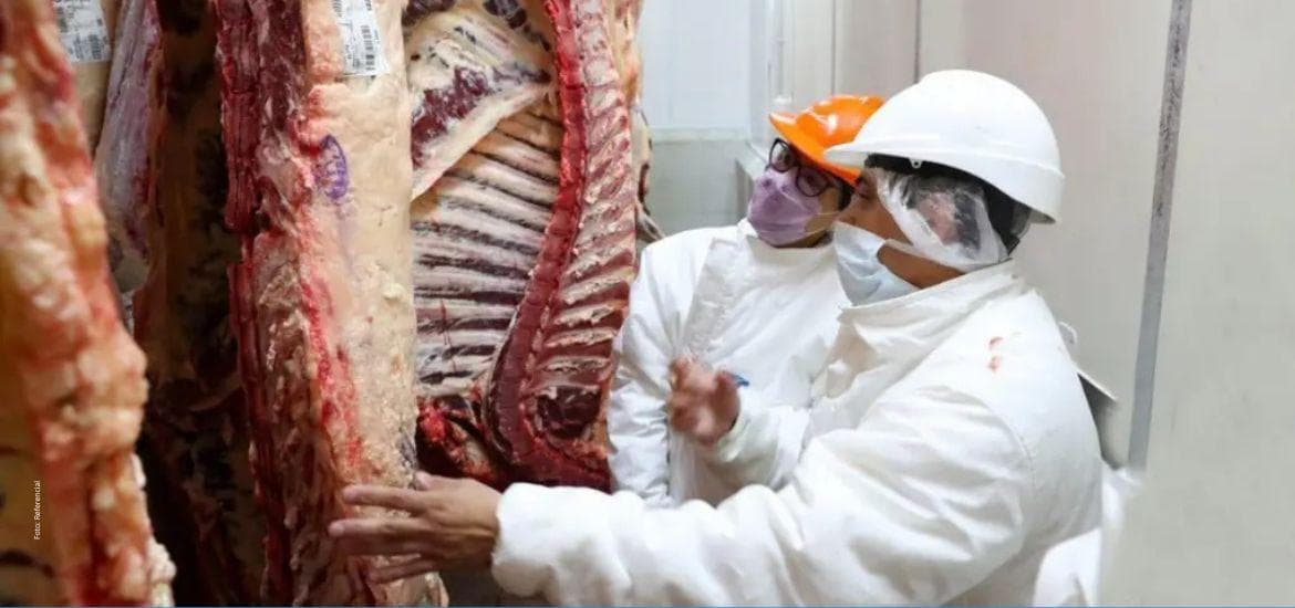 BOLIVIA INGRESA AL MERCADO EGIPCIO Y CONSOLIDA LA EXPORTACIÓN DE CARNE