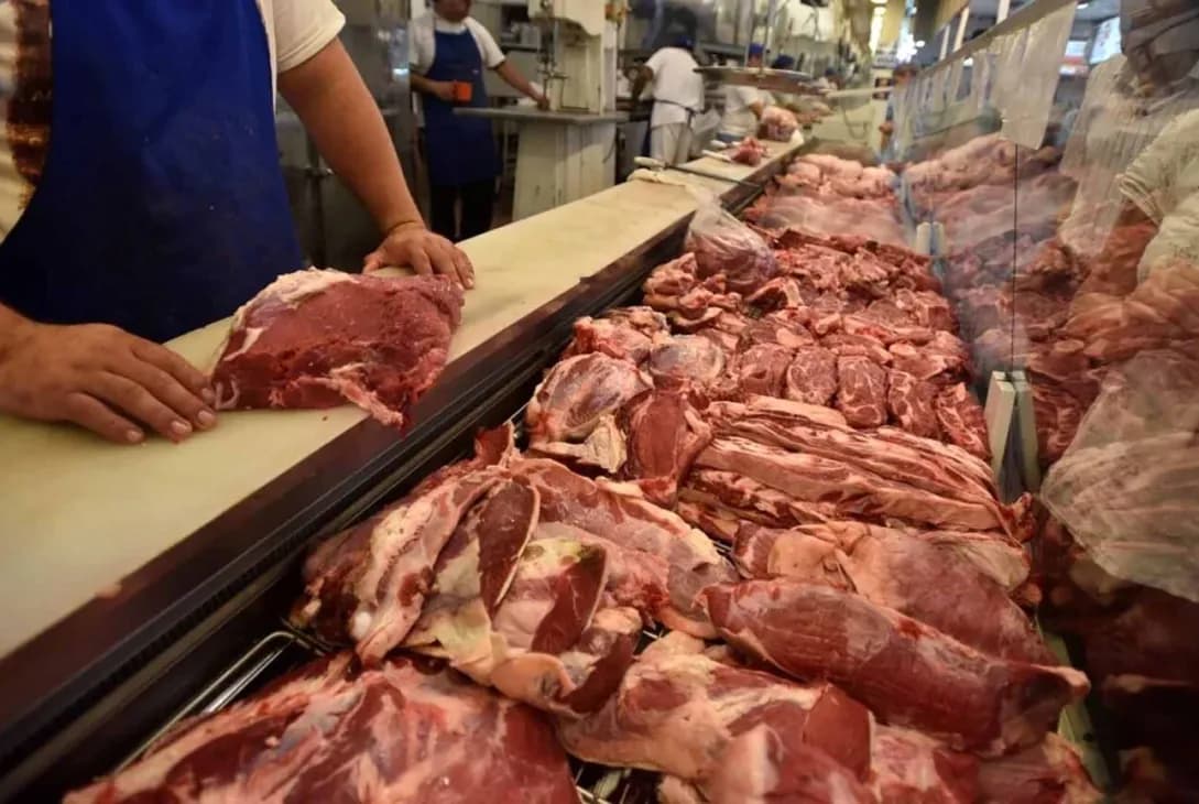 “NO NOS TOMEN POR TONTOS”, ALERTA PAZ PEREIRA SOBRE ESPECULACIÓN EN EL MERCADO CÁRNICO