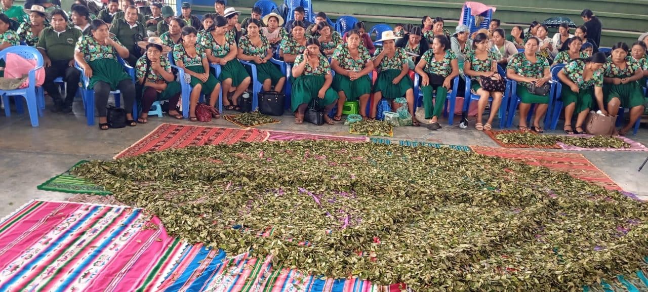 HOY EN BOLIVIA CELEBRAN EL DÍA NACIONAL DEL ACULLICO