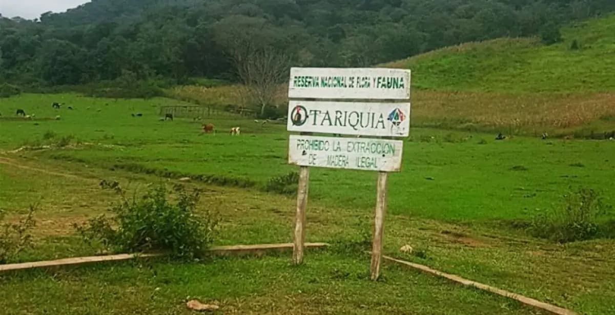 JUSTICIA AGROAMBIENTAL ORDENA LA PARALIZACIÓN TEMPORAL DEL PROYECTO PETROLERO DOMO OSO X-3 EN TARIQUÍA