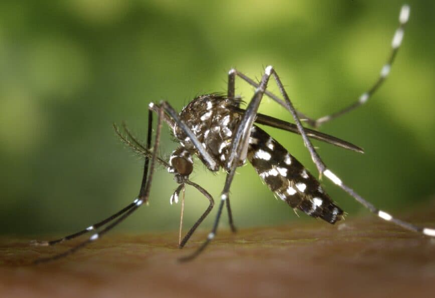 ÓSCAR VARGAS CRITICA GESTIÓN MUNICIPAL ANTE BROTES DE CHIKUNGUNYA EN SANTA CRUZ