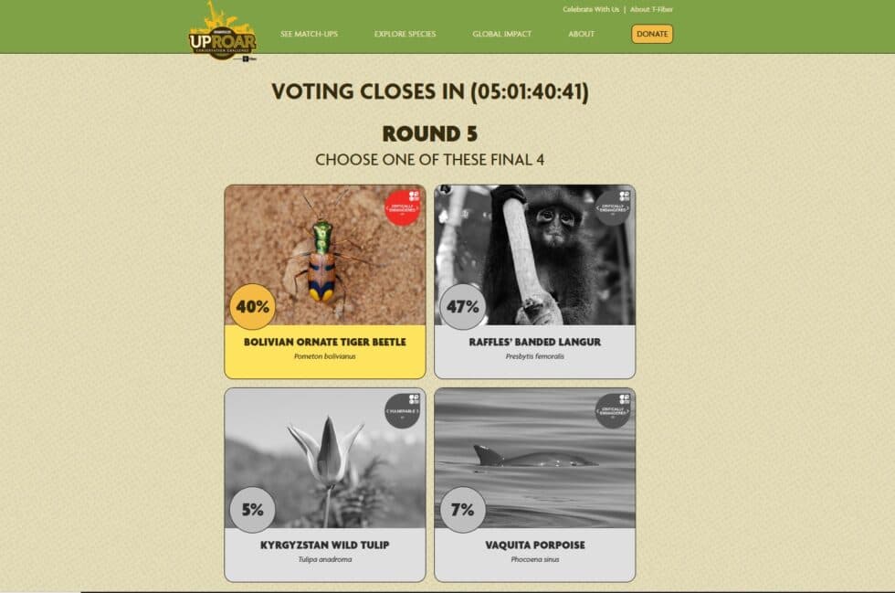 EL ESCARABAJO TIGRE DE LA CHIQUITANIA COMPITE POR GANAR CERTAMEN INTERNACIONAL