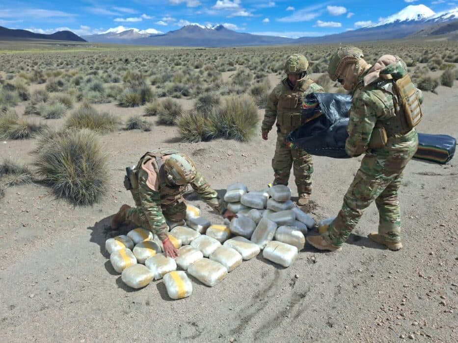 INCUTAN 223 PAQUETES DE MARIHUANA EN OPERATIVO FRONTERIZO CON CHILE