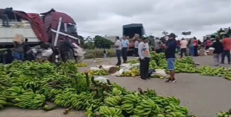 BANANEROS EXIGEN RESARCIMIENTO POR PÉRDIDAS DE $US 10 MILLONES TRAS BLOQUEOS